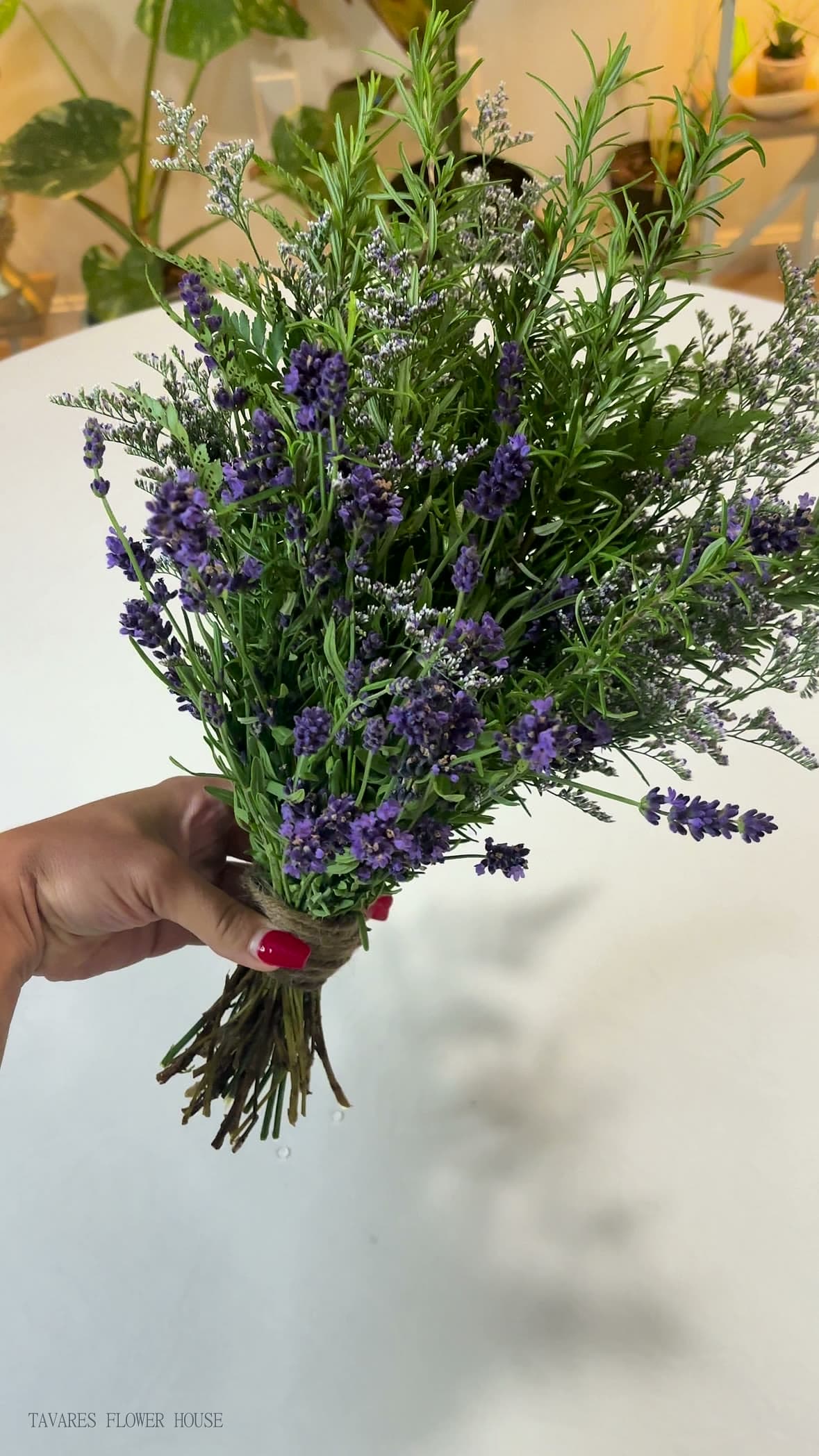 Hand-tied bouquet of fresh lavender and garden rosemary, held up against a white wall